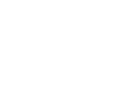 WDiesel
